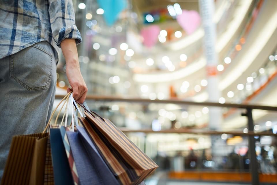 person holding shopping bag